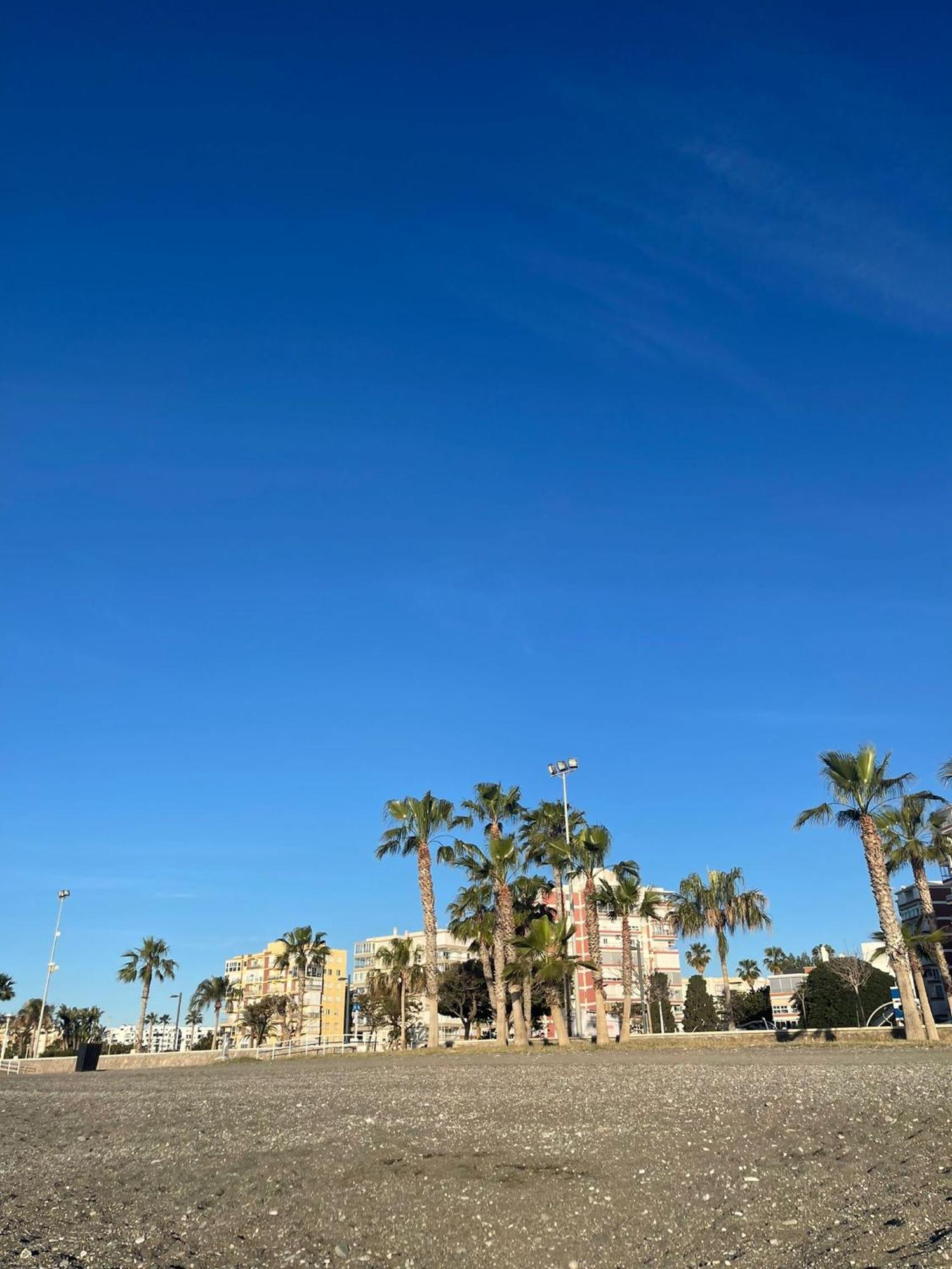 Torre Skyline - *