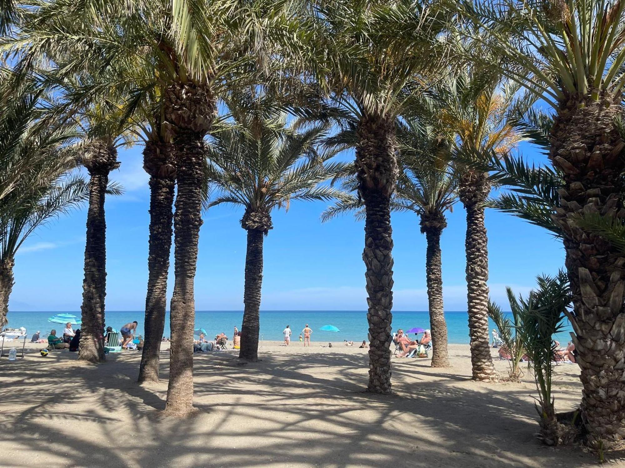 Torre Skyline -